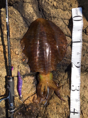 6時間やって当たり1回のみ…