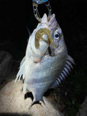 淀川ブリームゲーム