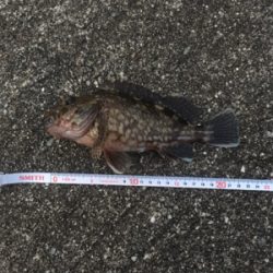 ライトワインド