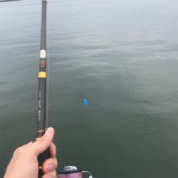 雨が降る前にサクッと釣り