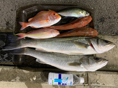 友人とボート釣行、ジギングでスズキ…