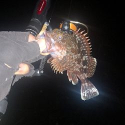 アジング練習 299