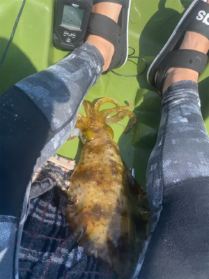 カヤックフィッシングにて！鷹島