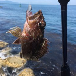 春昼間のライトゲーム❗️