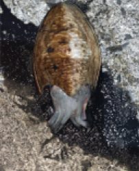 いきなりの大荒れ