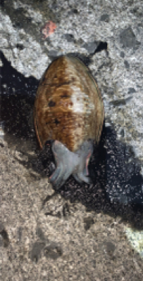 いきなりの大荒れ