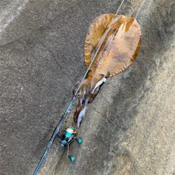 記録更新！3キロオーバー！！