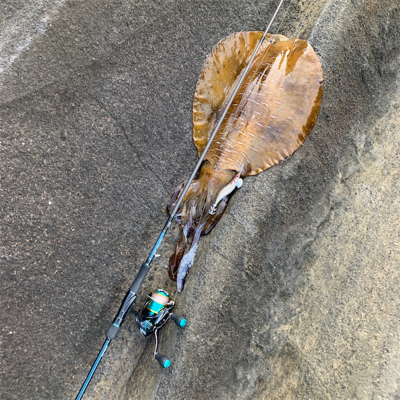 記録更新！3キロオーバー！！