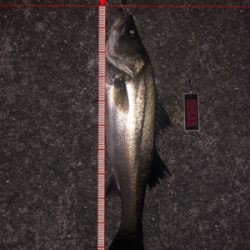 久しぶりの60up!