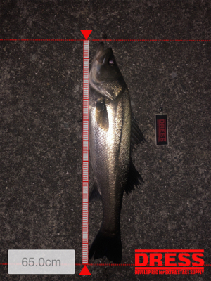 久しぶりの60up!