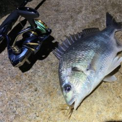 淀川ブリームゲーム