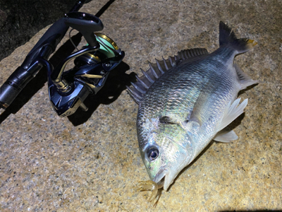 淀川ブリームゲーム