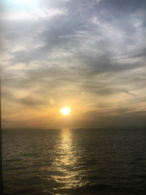 キスでも釣れないかな〜❗️