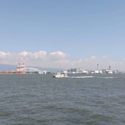 タコがチビすぎる