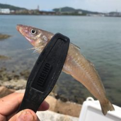 ちょい投げ自己記録!!