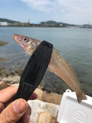 ちょい投げ自己記録!!