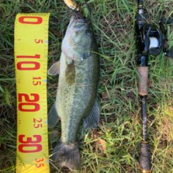 諦めかけた・・・その時に⁉️