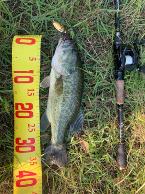 諦めかけた・・・その時に⁉&…