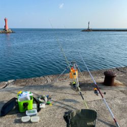 キス、五目釣り