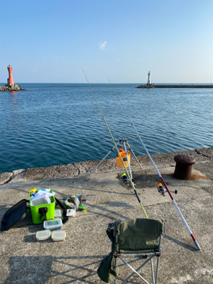 キス、五目釣り