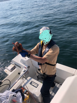 オクトパッスィング