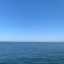 ショアジギングと泳がせ釣り