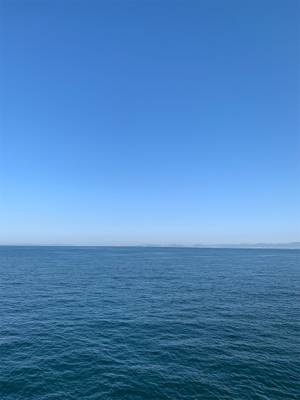 ショアジギングと泳がせ釣り