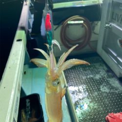 今年は渋めか……?!