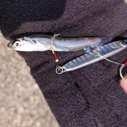 人は多いが魚はいない