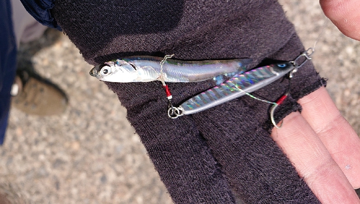 人は多いが魚はいない