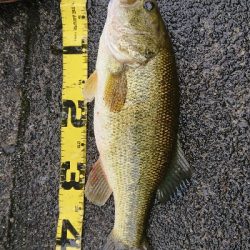 ペアリング打ち