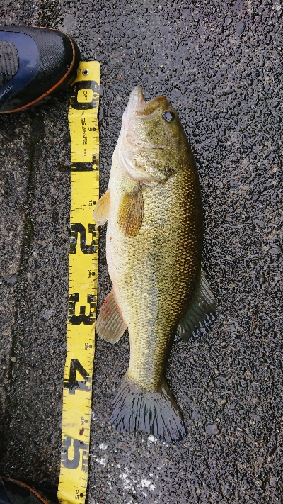 ペアリング打ち