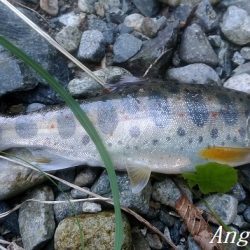 いつもとは違う場所で夕方に