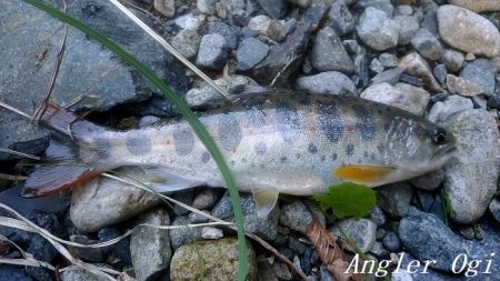 いつもとは違う場所で夕方に