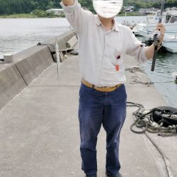 何とかサヨリきました