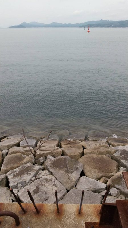 シリヤケエギング