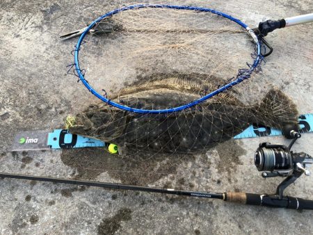 鯛狙いのはずが