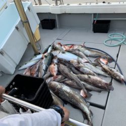 タラジギングからのタイラバ ジギング