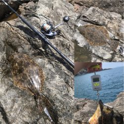 沖磯でヒラメとハタ！！！