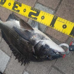 久しぶりの40UP　～さざなみ公園～