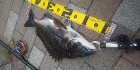 久しぶりの40UP　～さざなみ公園～