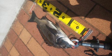 グラスロッドで　～辰巳橋～