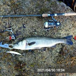 多忙からの、お祭り！