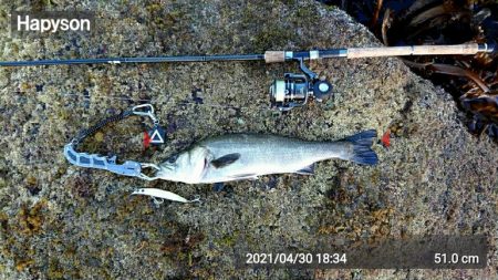 多忙からの、お祭り！