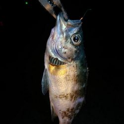 自転車遠征釣行