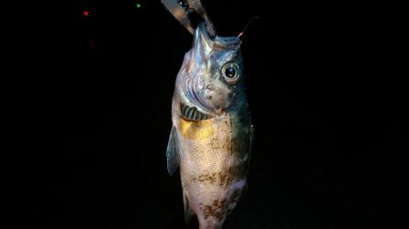 自転車遠征釣行
