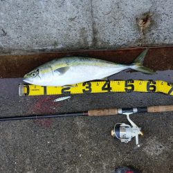 早朝プチsalt water game