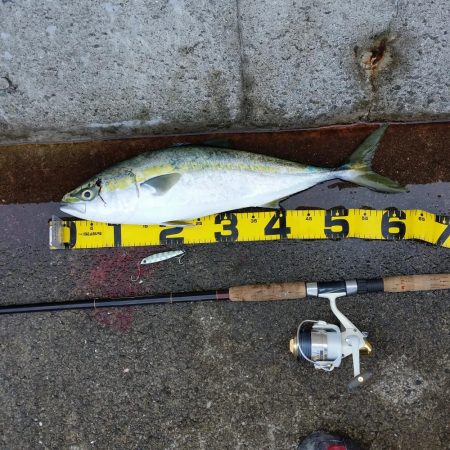 早朝プチsalt water game