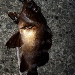 ピンクがお好き？