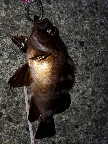 ピンクがお好き？